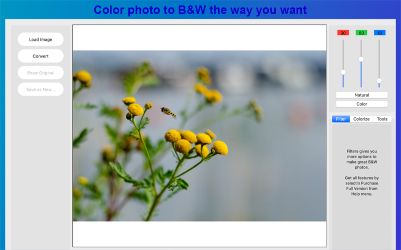Silver B&amp;W Photo Converter thumbnail 1