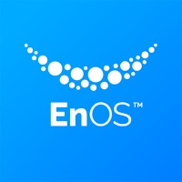EnOS 移动端 sur PC