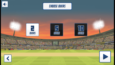 Swipe Cricket screenshot 3