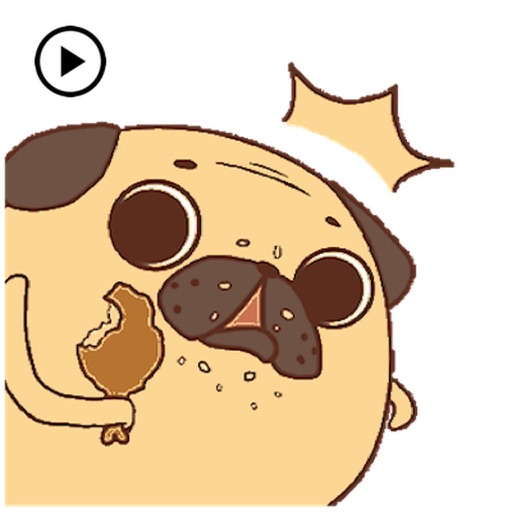 Animated Funny Chubby Pug Dog