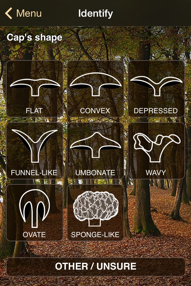 iFungi AU - Mushrooms ID screenshot 2