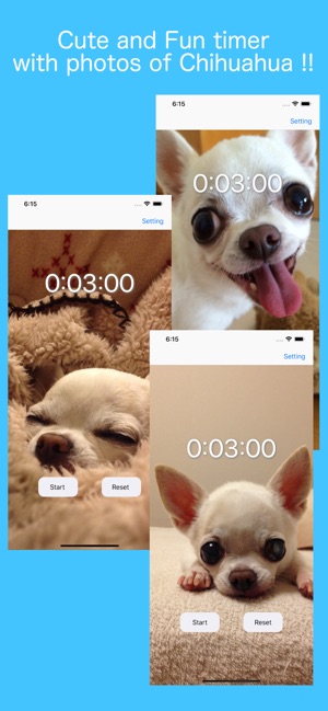 ChihuahuaTimer(圖1)-速報App