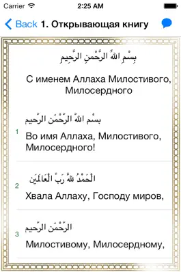 Game screenshot Коран с переводом смыслов hack