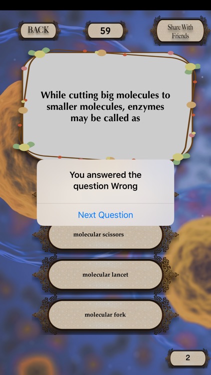 Enzymes Quizzes screenshot-4