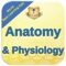 This is a Combination of sets, containing practice questions and study cards for exam preparation on the topic of anatomy & physiology