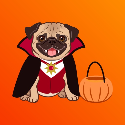 Cutest Halloween Pugs Sticker