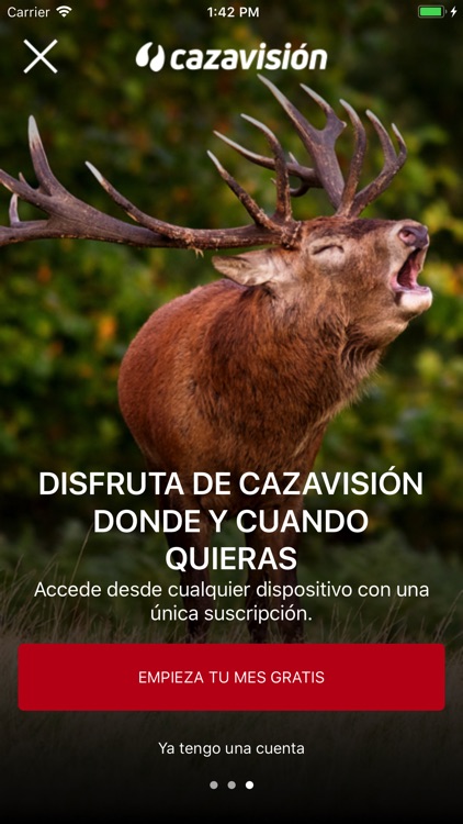 Cazavisión