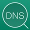 NSLookup is an internet utility to get domain's DNS information