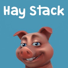 Activities of Hay Stack Game