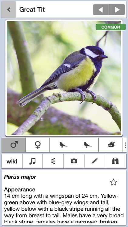 Birds of Britain Pro screenshot-1