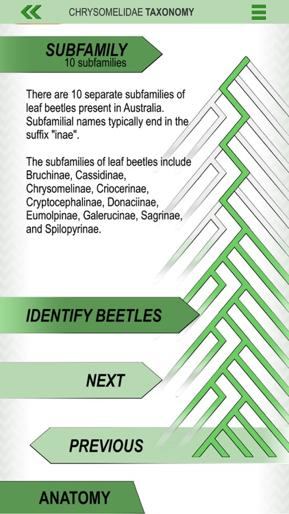 Leaf Beetle ID Guide screenshot-5