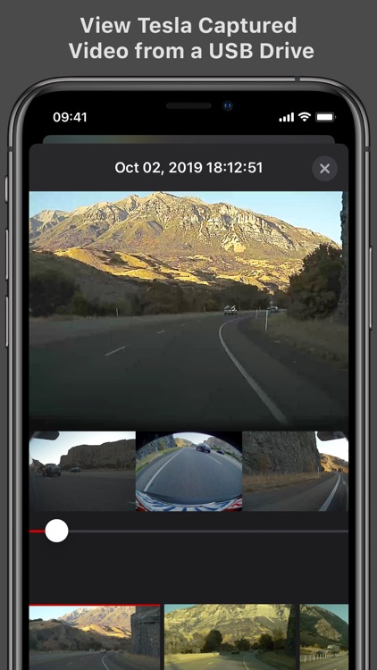 Cam Viewer for Tesla screenshot-0