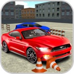 Mix Parking Driving Car