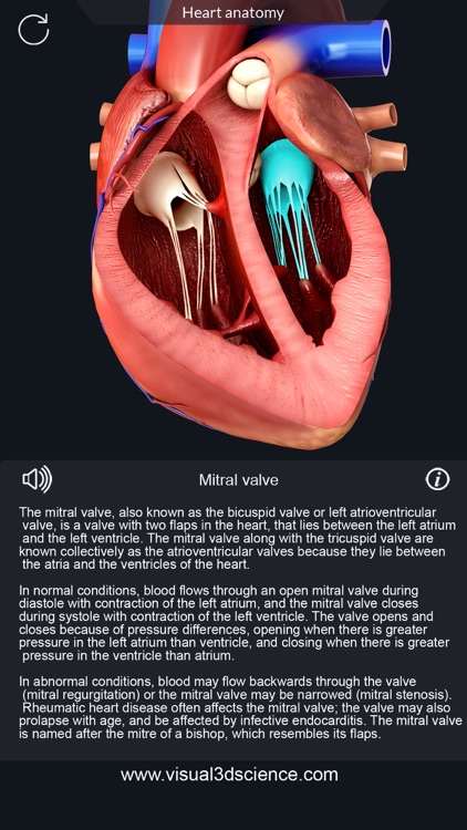 My Heart Anatomy screenshot-3