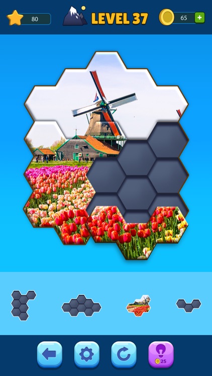 Hexa Jigsaw Puzzle™