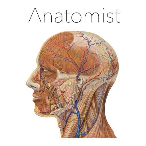 Anatomist – Anatomy Quiz Game Icon