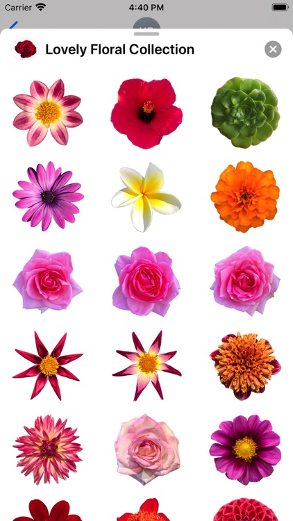 Lovely Flower Collection screenshot-4