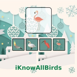 iKnowAllBirds