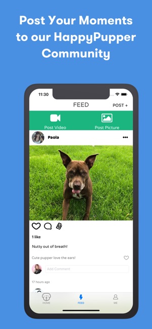 HappyPupper Dog Walker Tracker(圖7)-速報App