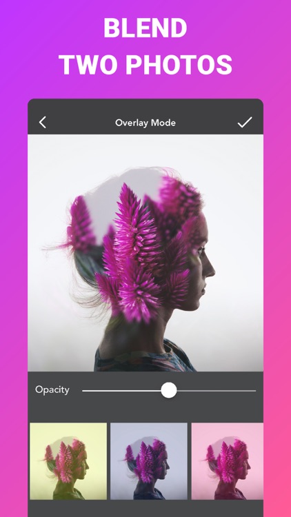 Overlay or blend images Free Online Image Editor