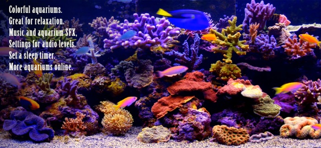 Amazing Aquariums In HD(圖3)-速報App