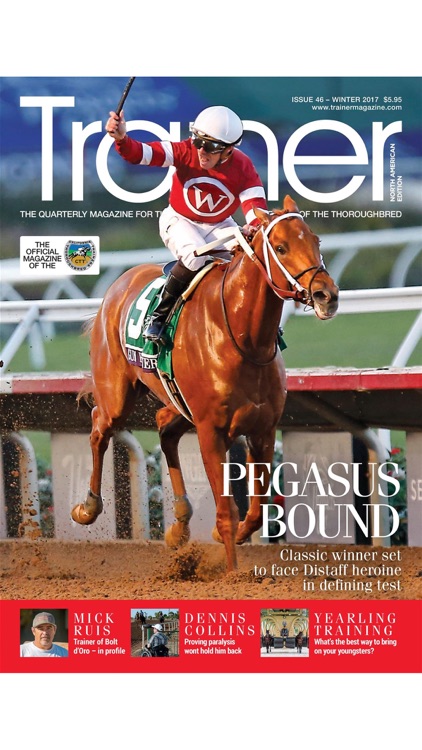 NA Trainer Magazine screenshot-6