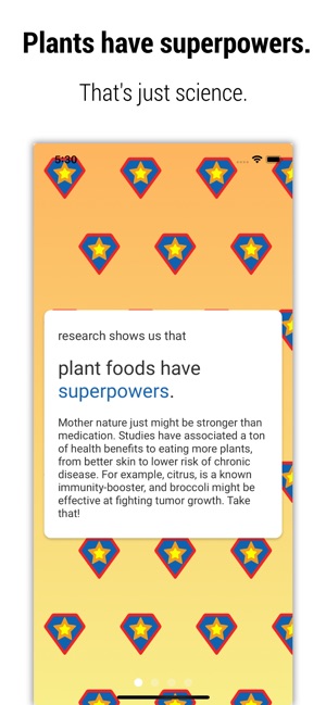 Eat the Rainbow Meal Tracker