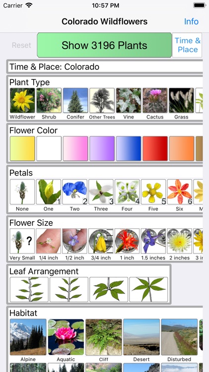 Colorado Wildflower Search