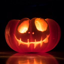 Boo - Halloween Shock Prank