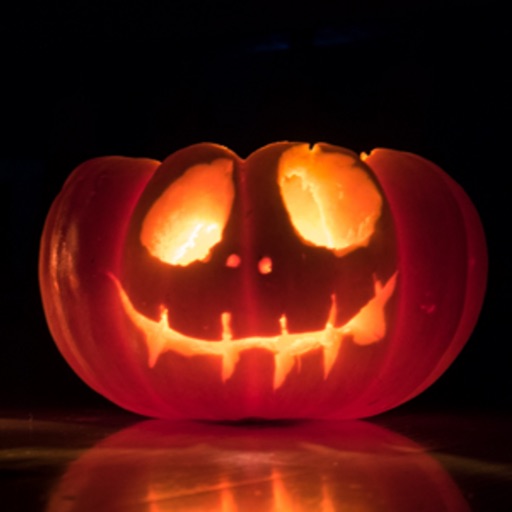 Boo - Halloween Shock Prank