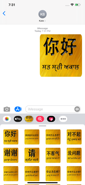 Chinese Punjabi(圖2)-速報App