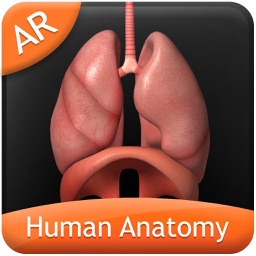 Human Anatomy Explorer AR