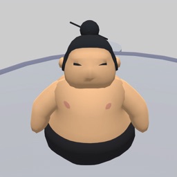 Sky Sumo