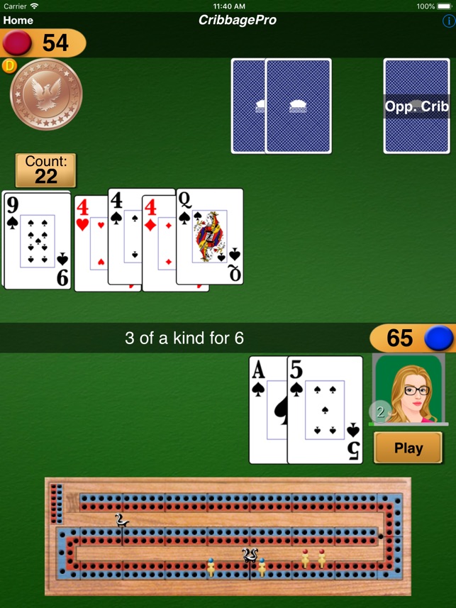 Cribbage Pro On The App Store