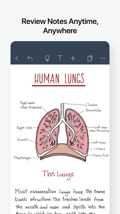 Noteshelf