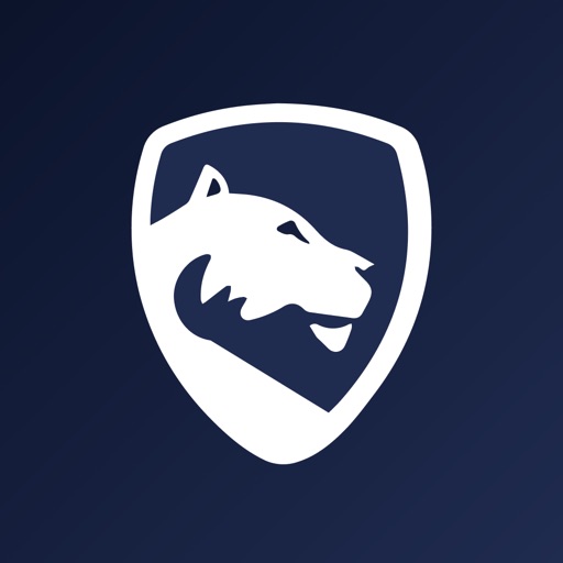 LionGuard Insta AdBlock