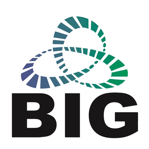 BIG - BAAS International Group