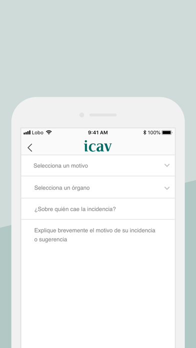 ICAV screenshot 4