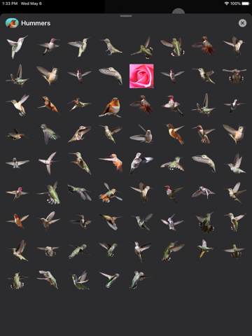 Hummingbird Sticker Pack screenshot 2