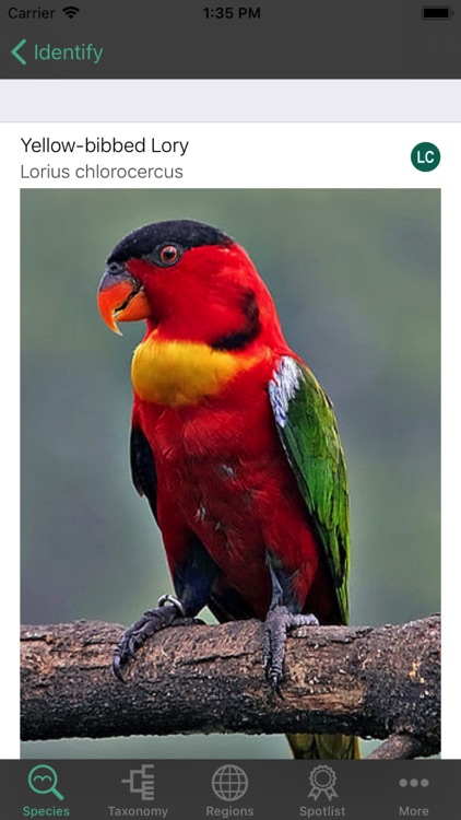 SENED BirdWorld