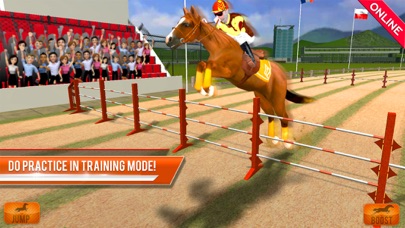 Real Horse Racing Online screenshot 4