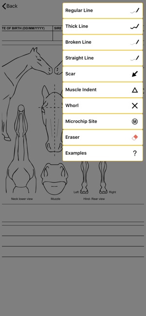 Equimark(圖4)-速報App