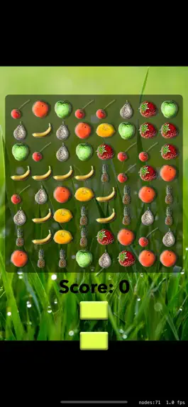 Game screenshot FruitMatch mod apk