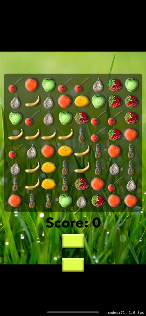 FruitMatch