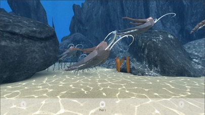 Cambrian Explorer screenshot 2