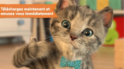 Petit Chaton Mon Chat Préféré Petit Chaton Mon Chat Préféré
