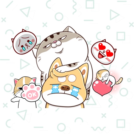Best Cats Animated Stickers icon