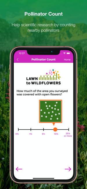 Lawn to Wildflowers(圖5)-速報App