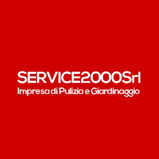 Service 2000 Srl by Luigi Viscovo