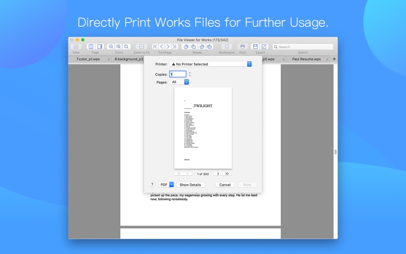 File Viewer for Works